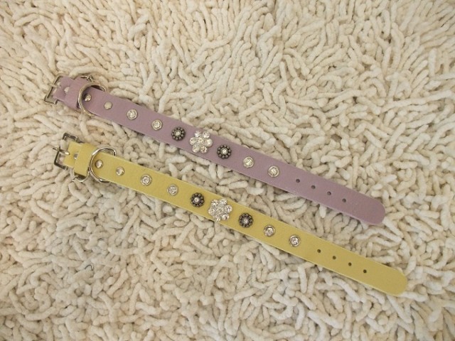 DSCF4179