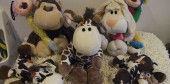 DSCF4487 DSCF4487