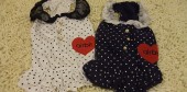 DSCF4722 DSCF4722