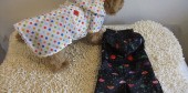 DSCF4779 DSCF4779