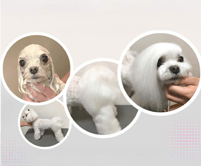 泡パックイメージ